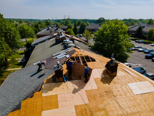 Quick and Trustworthy Emergency Roof Repair Services in Roberta, GA