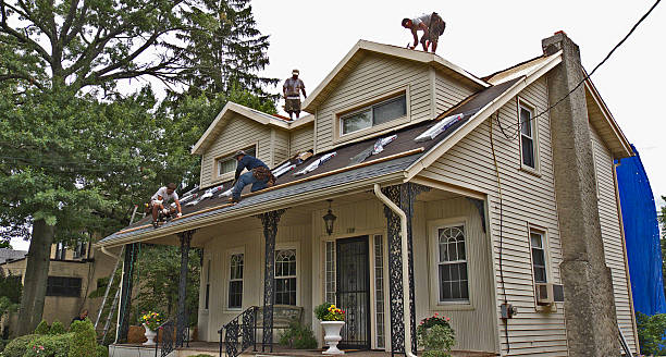 Best Roof Gutter Cleaning  in Roberta, GA